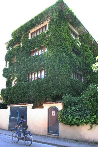 Bu apartman, görenleri kendisine hayran bırakıyor