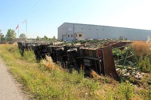 Akyazı'da tavuk yüklü TIR devrildi, tavuklar telef oldu