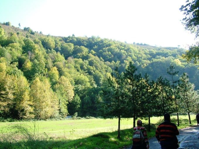 Sakarya'da tapulu ormanlık alan 2 kat arttı