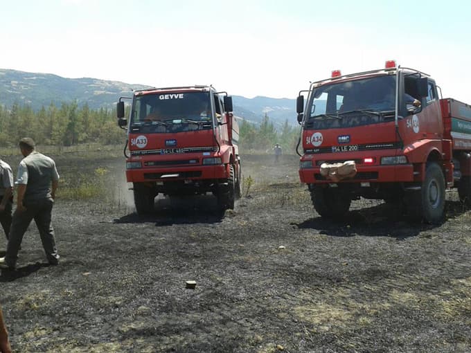 Taraklı'da orman yangını
