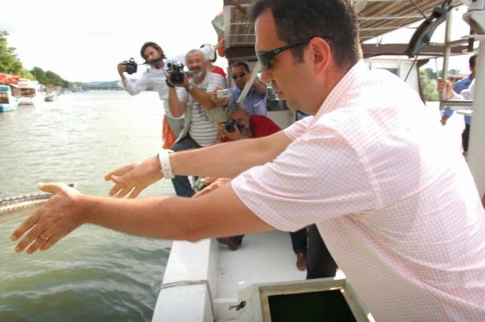 Karasu'da Mersin Balığı Festivali