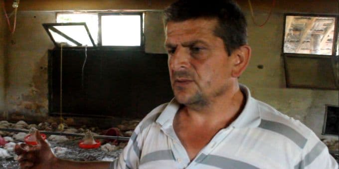 SEDAŞ elektriği kesince 2 bin 500 tavuk telef oldu
