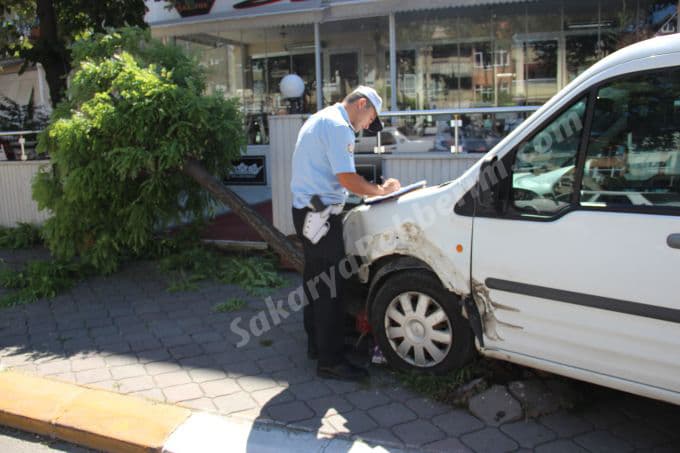 Kaldırıma çıkan panelvan, ağacı devirdi