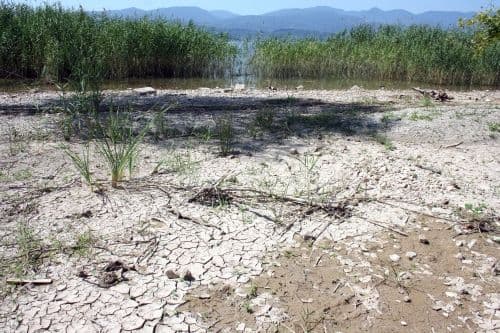 Sapanca Gölü, kuraklık tehlikesiyle karşı karşıya