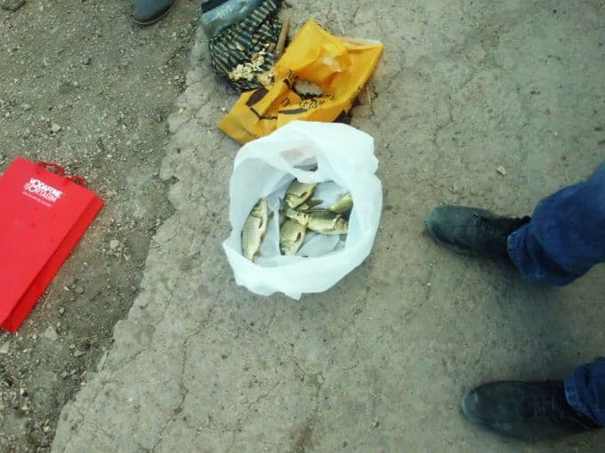 Yasağa rağmen balık tutmaya devam ediyorlar