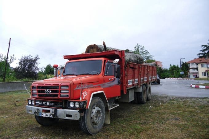10 ton kaçak odun yüklü kamyonu bırakıp kaçtı