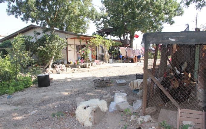 14 yıldır kendi yaptıkları ahşap evde kalıyorlar
