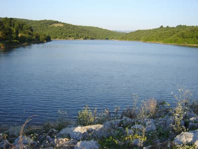 Sadece Serinlemek İstemişti