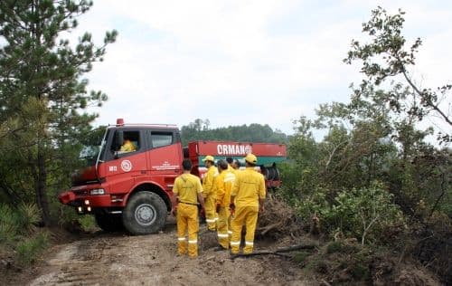 Sapanca'da 6 hektarlık ormanlık alan kül oldu