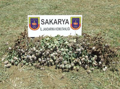 Sakarya'da Uyuşturucu Operasyonu