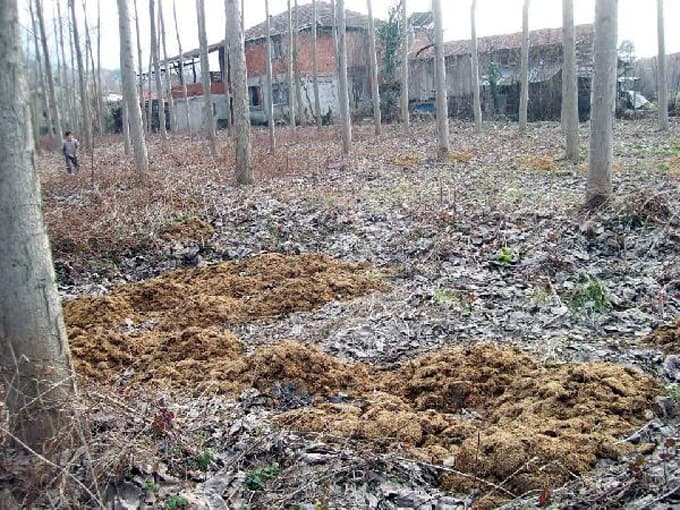 Tavuk çiftliklerinin kapatılması için 4 yıldır mücadele veriyor