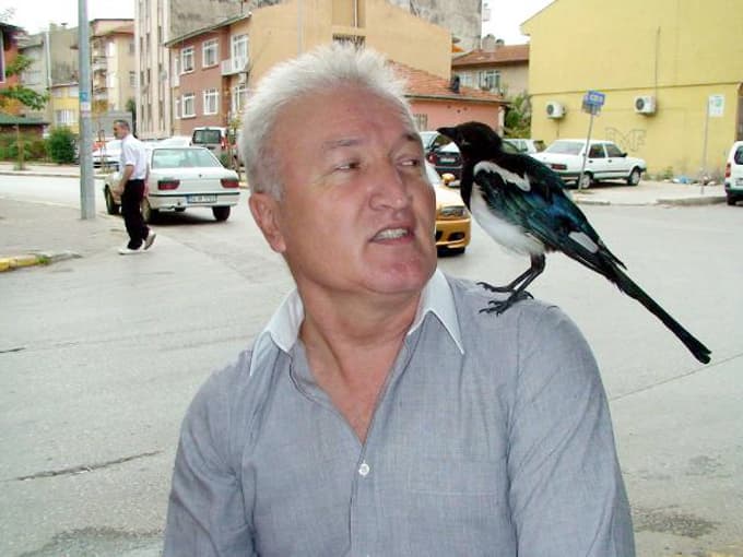 Marketçi ile sakasağanın şaşırtan yakınlığı