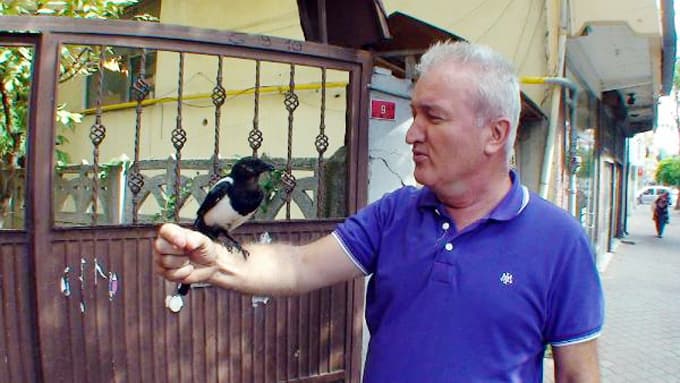 Marketçi ile sakasağanın şaşırtan yakınlığı