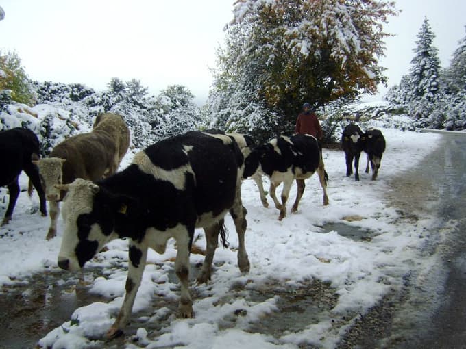 Karagöl Yaylası'na mevsimin ilk karı yağdı