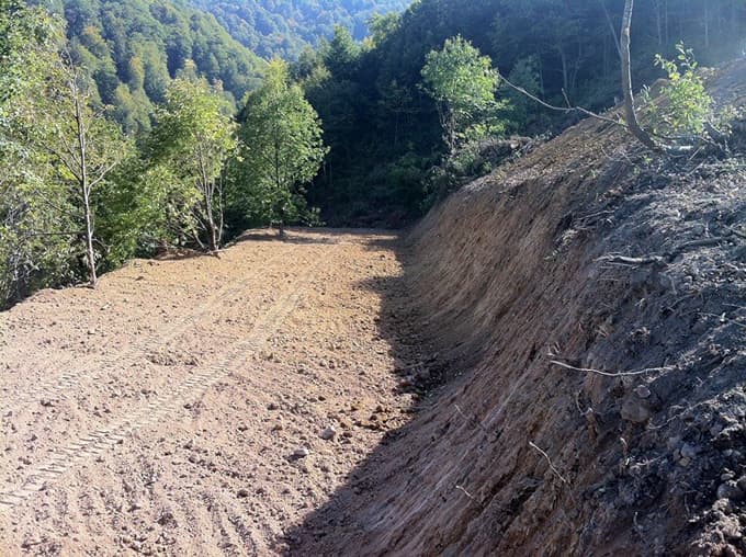 Karapürçek Bal Üretim Ormanı, hızla oluşturuluyor