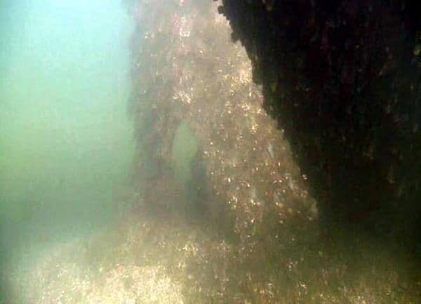 Sapanca Gölü'nün zemini bataklıktan farksız