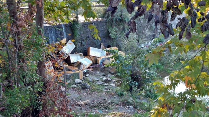 Sapanca Gölünü buzdolabı çöplüğüne çevirdiler