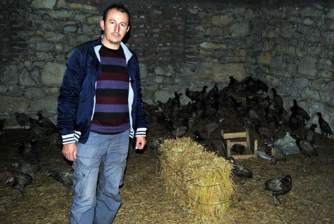 Avcılar, doğaya 800 adet sülün bırakacak