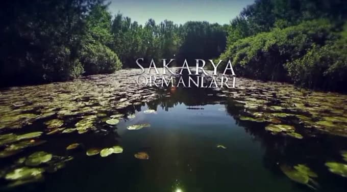 Sakarya ormanları için tanıtım filmi çekildi