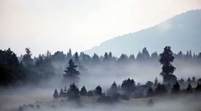 Sakarya ormanları için tanıtım filmi çekildi