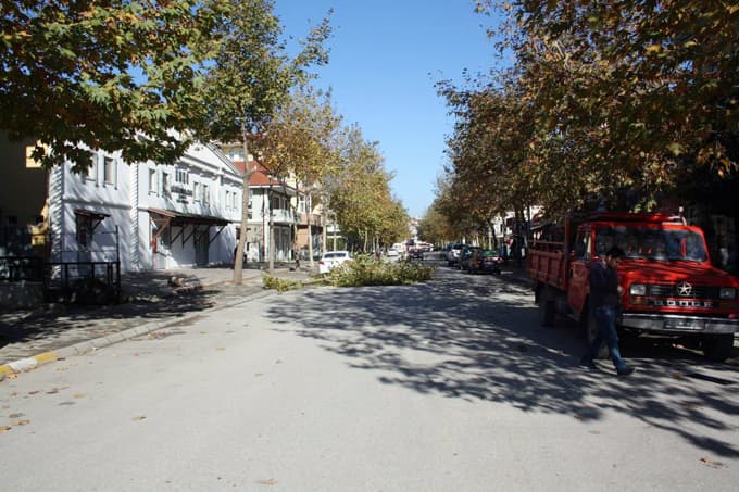 Arifiye'de ağaçlar budanıyor