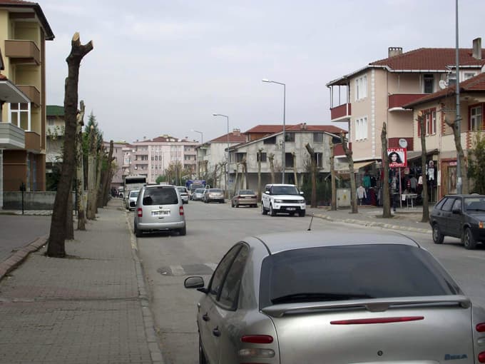 Arifiye'de ağaçlar budanıyor
