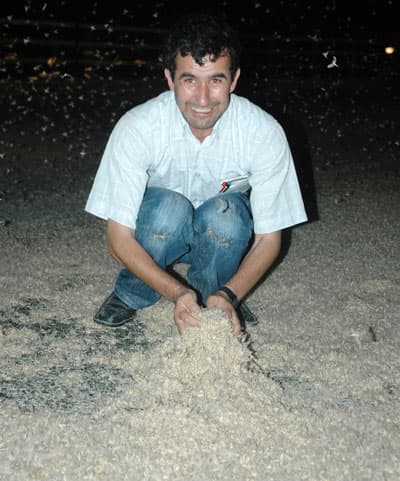 Kelebeklerin Ölümle Dansı Bu Yıl da Tekrarladı