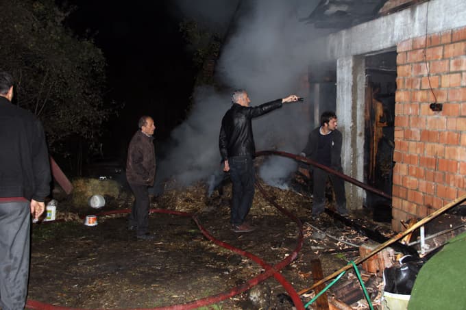 Ahırda çıkan yangında, 20 hayvan telef oldu