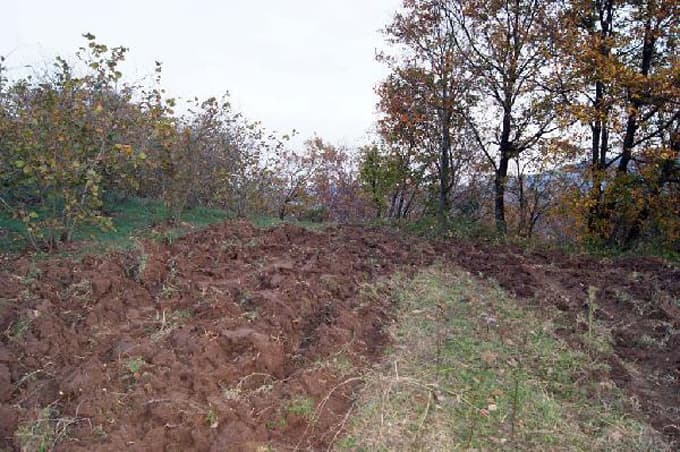 Uçuruma yuvarlanan traktörün sürücüsü öldü