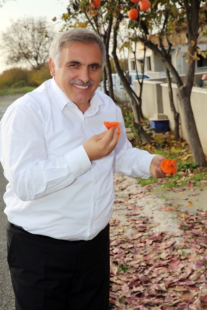 Hendek'te hasat zamanı