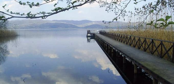 Sapanca Gölü'ne neler oluyor?