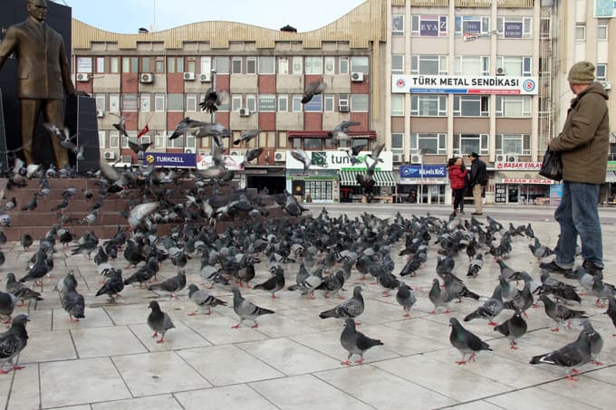 Sakaryalılar hayvanları unutmadı