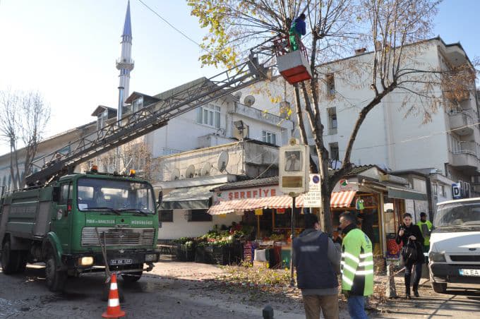 Şehrin ana caddelerinde tehlike arz eden dallar budandı