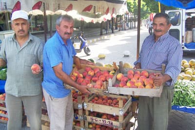 Pamukova Pazarında Sebze ve Meyve Bereketi