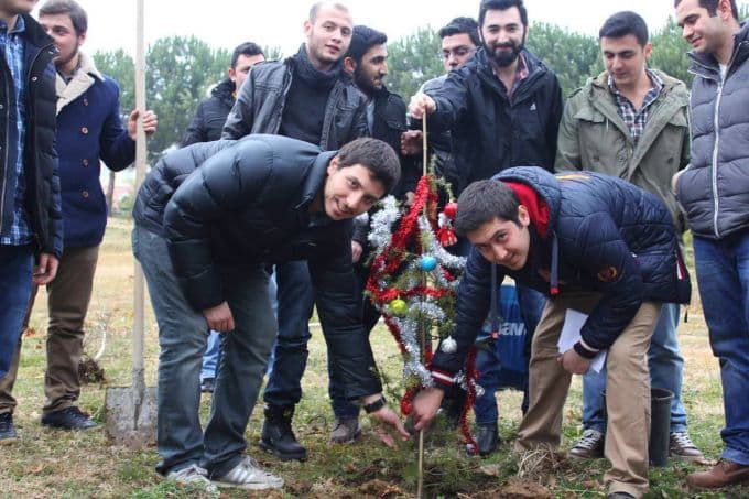Yılbaşı ağaçları toprakla buluştu