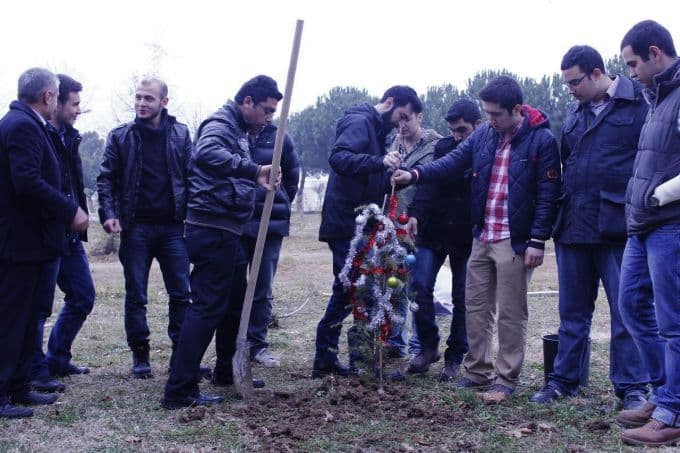 Yılbaşı ağaçları toprakla buluştu