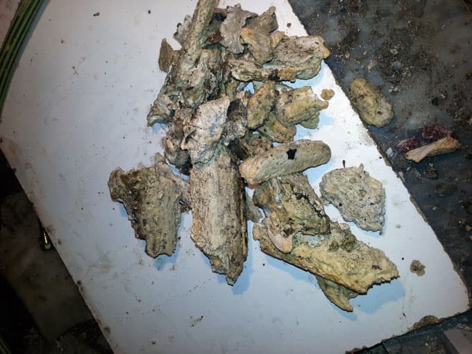 Lavaboya atık yağınızı dökerken bir kez daha düşünün