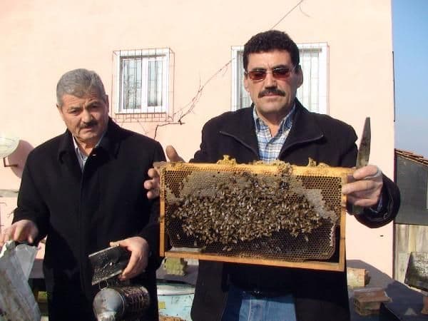 Hırsızlar arıları kovanlarıyla birlikte çaldı