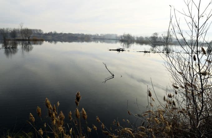 Sakarya, 'kürek' ve 'kano'nun merkezi olacak