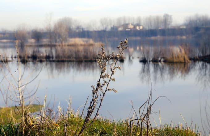Sakarya, 'kürek' ve 'kano'nun merkezi olacak