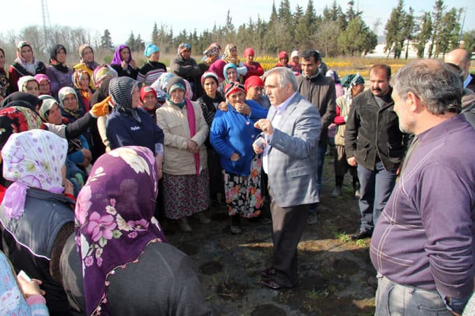 15 yılda 60 bin fidan dikildi