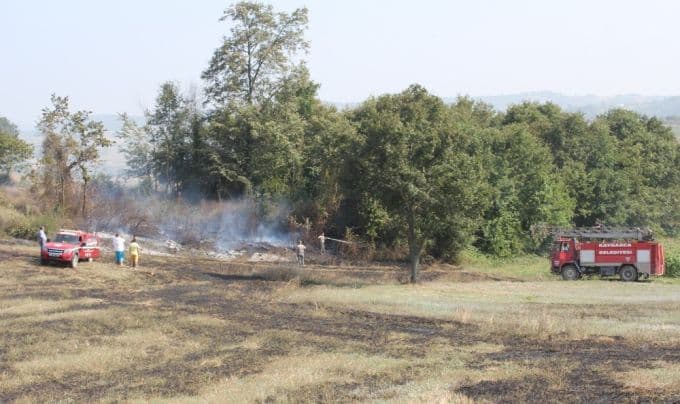 Sakarya'da orman yangınlarına 29 araçla müdahale ediliyor