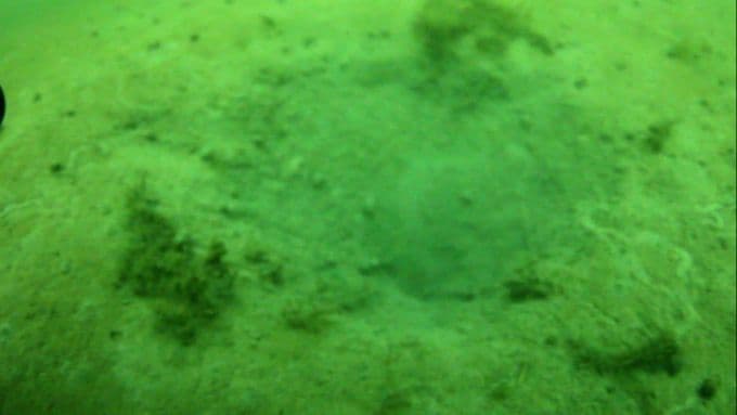 Dalgıçlar, Sapanca Gölü'nün zeminini görüntüledi 