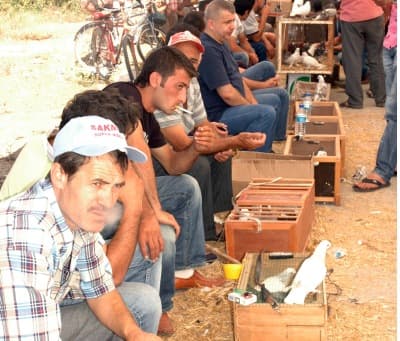 <font size="2"><font face="verdana,geneva">Basın g&ouml;r&uuml;nt&uuml; alırken tezgahlarını terk eden esnaflar, <font color="#ff0000">&quot;Bizim burada satış yapmamız yasak. Ge&ccedil;en belediye geldi. Esnaf başına 500 YTL ceza kesti. Bunları k&ouml;ylerden vatandaşlardan topluyoruz. Hem onlara para kazandırıyoruz, hem kendimize. Bu yasaklar ne zamana kadar devam edecek. Bizim bunları satmaktan başka &ccedil;aremiz yok&quot;</font> şeklinde konuştular.</font> </font>