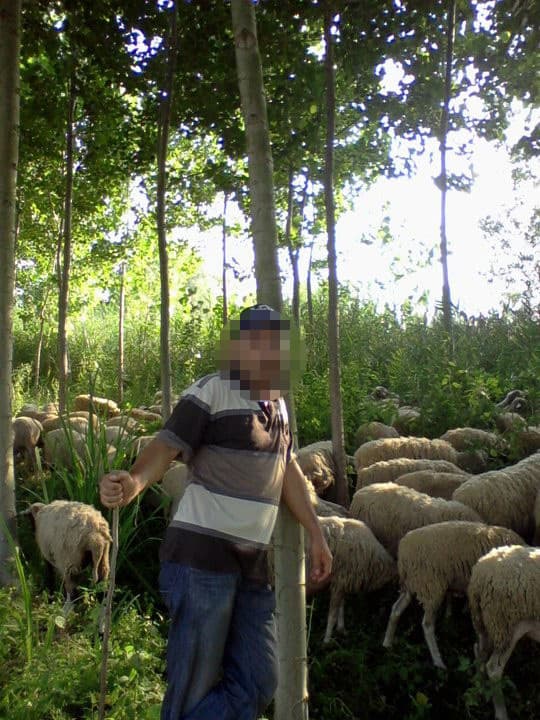 Damadın koyun otlatma öfkesi: 2 ölü