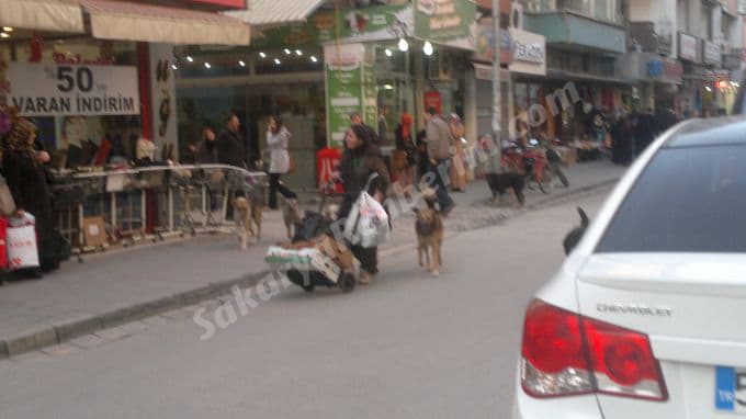 Çok sayıdaki köpeğiyle korku saçıyor