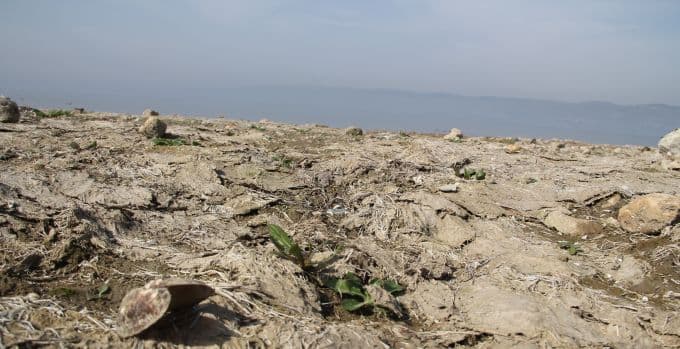 Sapanca Gölü hiç bu kadar çekilmemişti