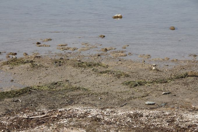 Sapanca Gölü hiç bu kadar çekilmemişti