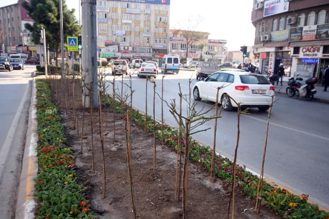 Cıvıl cıvıl bir Bulvar için...