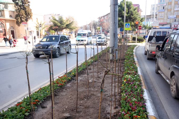Cıvıl cıvıl bir Bulvar için...